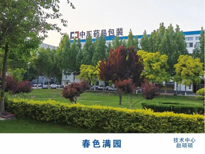 1751697848316510.png image.png