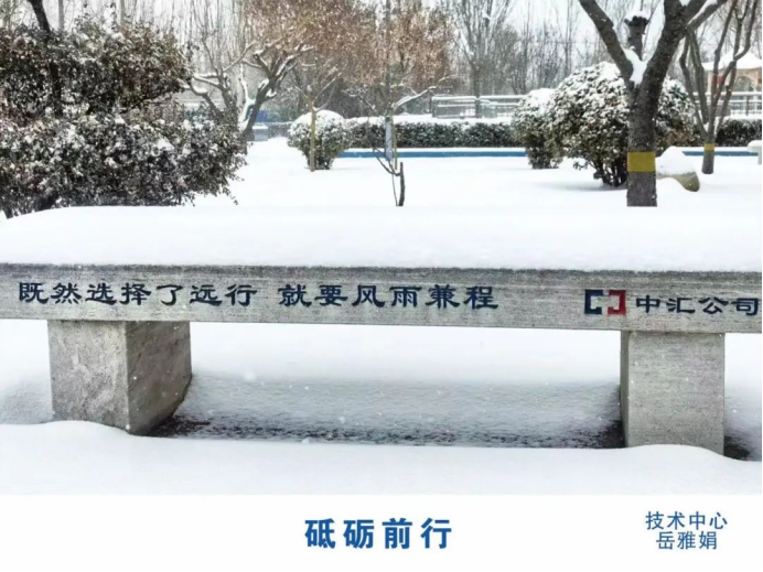 1751697856740851.png image.png